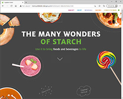 Ingredion Starch Ebook