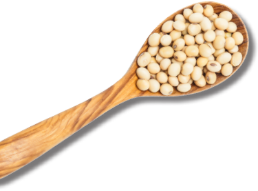 Beans in spoon