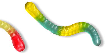 Gummi Worms
